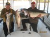 (02/10/2017) - Nice Striped Bass